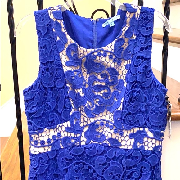 ✨NEW✨ Antonio Melani Dress - Picture 3 of 4